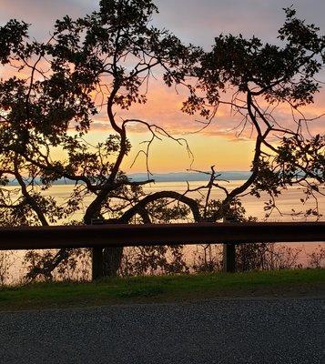 Salish Sea Island Cabs