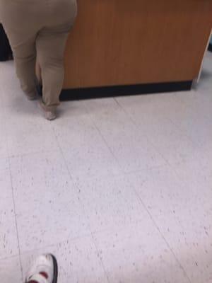 Banfield Pet Hospital