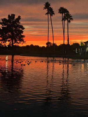 Freestone Recreation Center