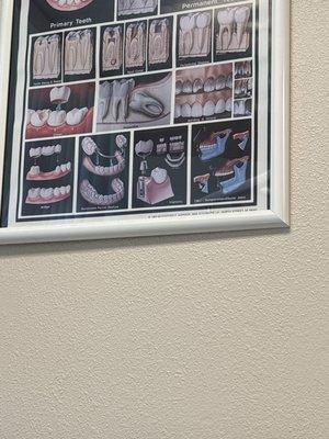 Olivewood Meadows Chiropractic Office