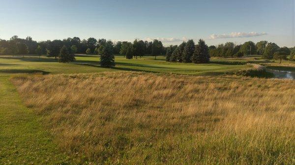 Maple Creek Golf Club