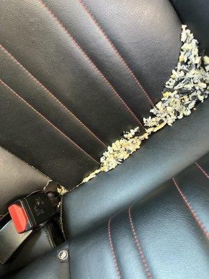 Import Car Specialists