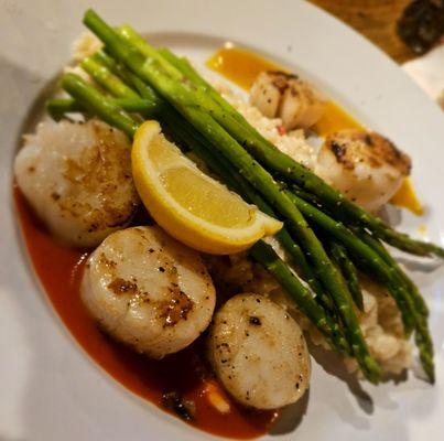 Scallops with risotto
