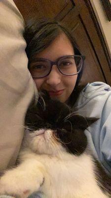 Bellspurr Maine Coons