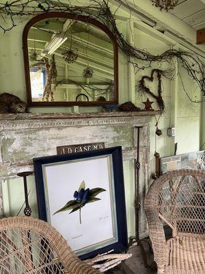 Blue Moon Farm Perennials