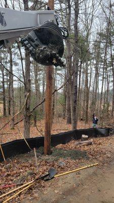 Hammer Stump Grinding