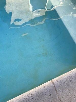 Acapulco Pool Service