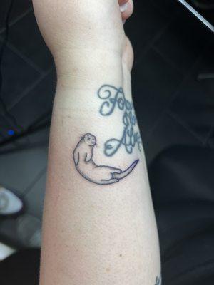 Sea Otter by Lexi Limer