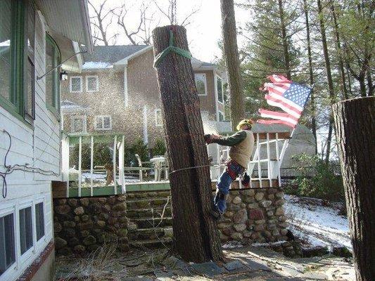 Maximum Tree Service LLC