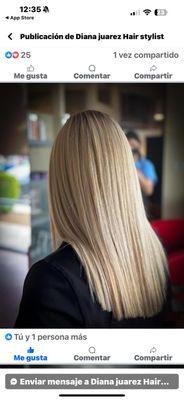 Dianahair