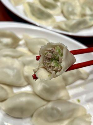 Dumpling Xi