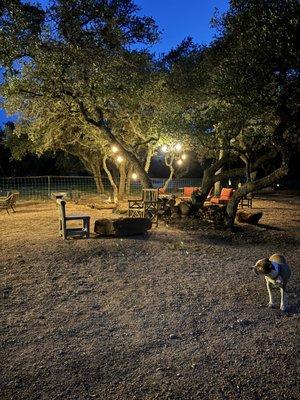 The Library@Big Iron