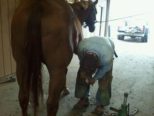 The William George Agency For Children's Services