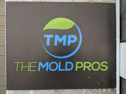 The Mold Pros