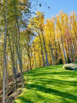 Creative Landscaping Specialists