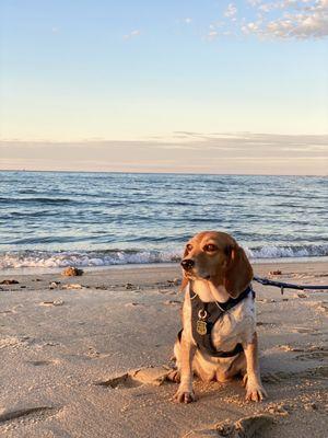 E-Beach Little Creek