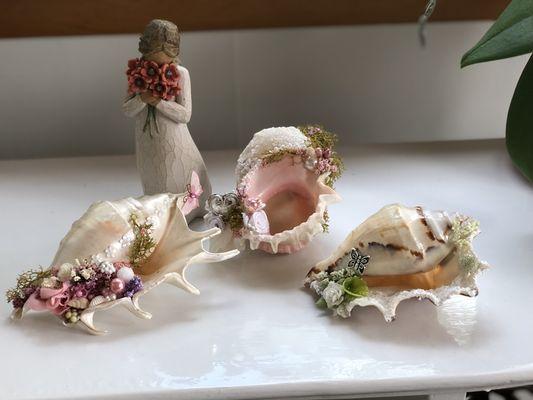 Home Decor, Coastal Decor, Sea Shells, Coastal Gifts