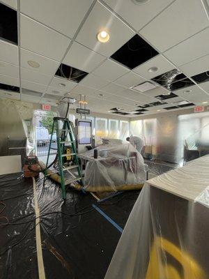 Pleasanton Pest Control