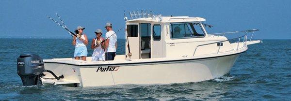 Scallop Adventure