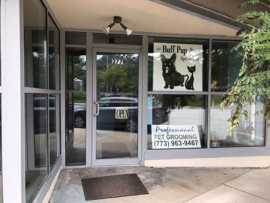 The Buff Pup & Spiffy Cat