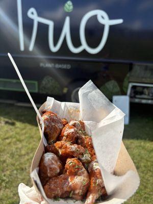 Twin Cities Veg Fest