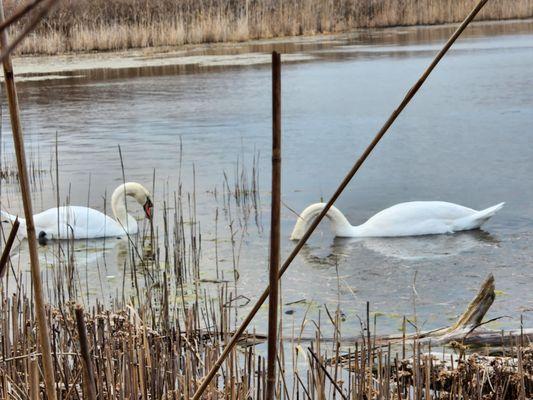 Inlet Pond County Park