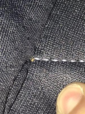 Bed bug imbedded in bed from frame