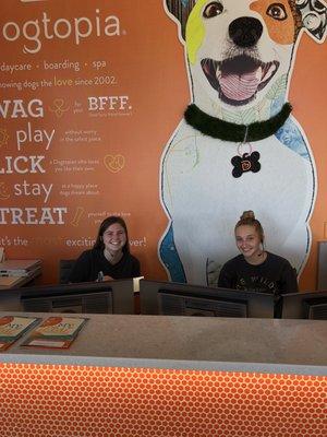 Dogtopia of Columbus-Dublin