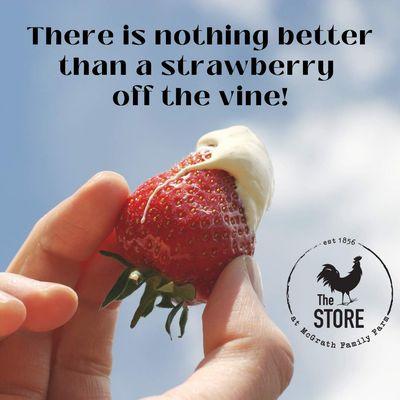 McGrath Family Farms