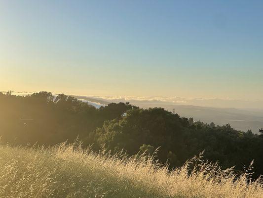 Coal Creek Open Space Preserve