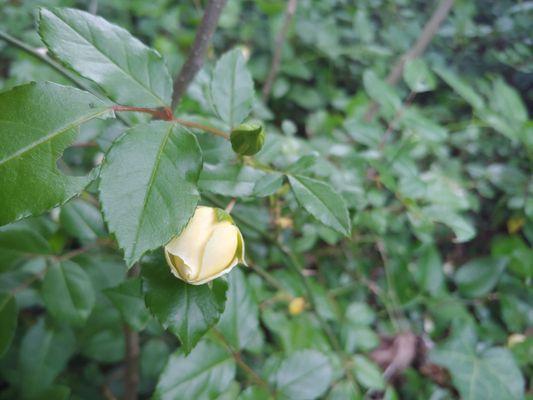 Stringer's Ridge Park