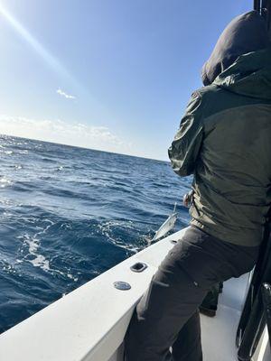 Emerald Isle Adventures