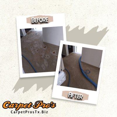 Carpet Pro's