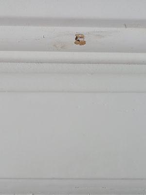 Green Oak Handyman Services