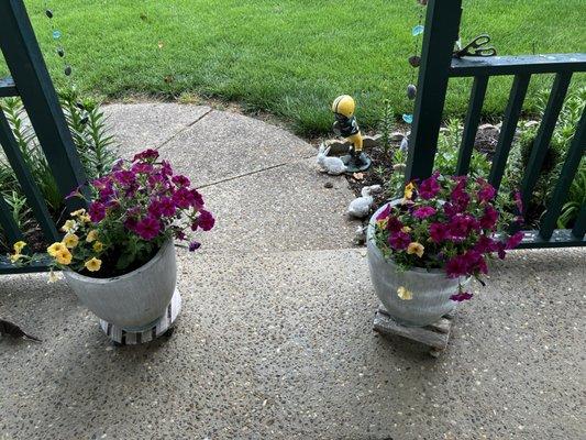 Old Thyme Loghouse Garden