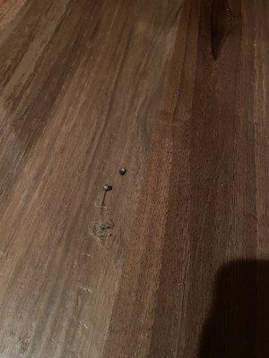 Stellar Home Services