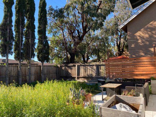 Precision Greenscapes JR.