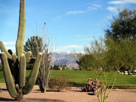 Rolling Hills Golf Course