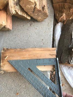 Colorado Tree and Firewood