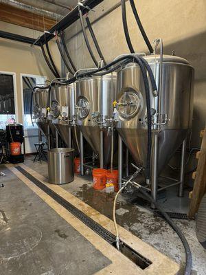 Waterman Brewing Company