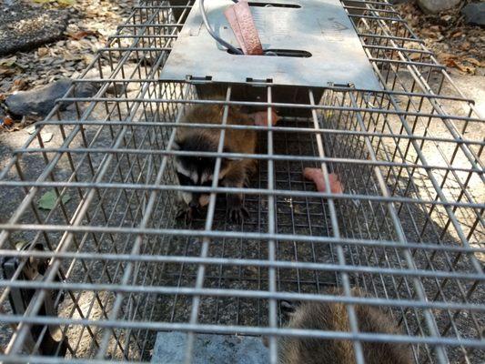 Excellent company! Will recommend over and over again.