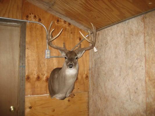 Bar S Taxidermy & Deer Processing
