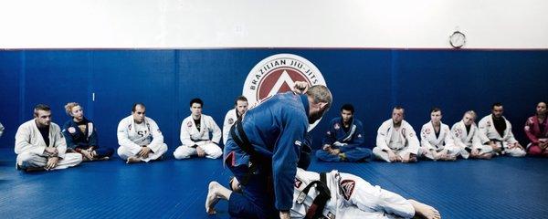 Gracie Barra Clearwater