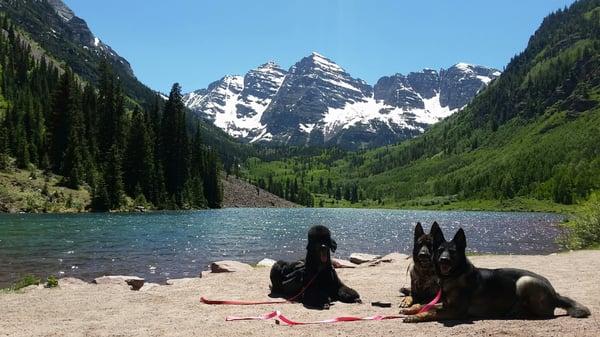 Aspen Animal Hospital