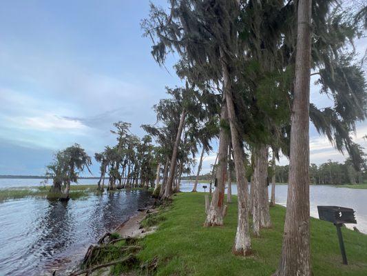 Cypress Cove Marina and Resort