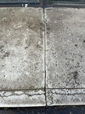 Thunder mobile detailing