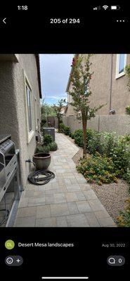 Desert Mesa Landscapes & Designs