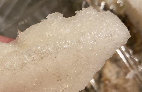 Yuck!!! Black stuff on the steamed white rice cake.