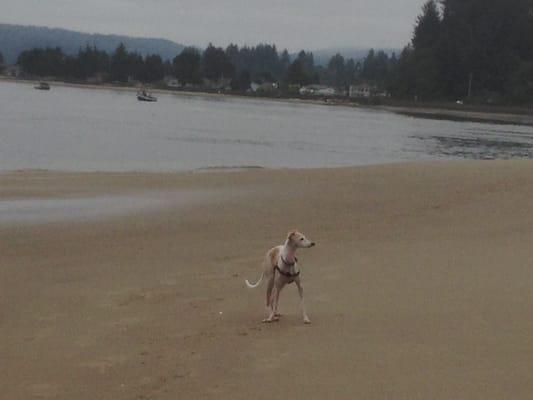 Alsea Bay and Waldport