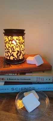 Mad Soyentist Candle Company